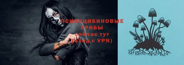 mix Сатка