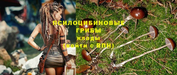 таблы Алексин