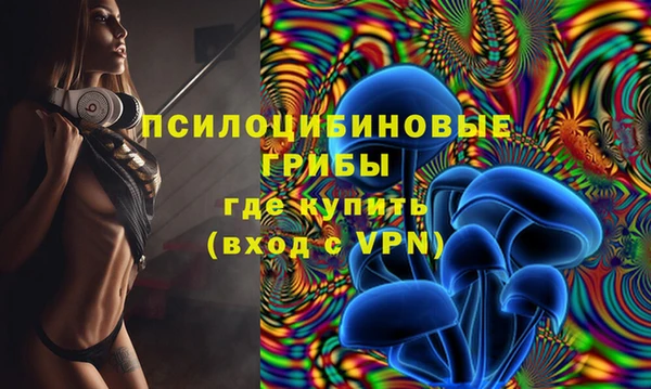 таблы Алексин