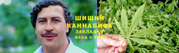 хмурый Алзамай